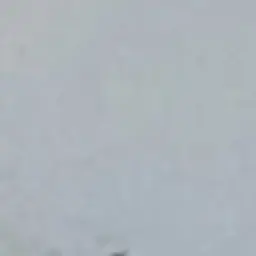 Profile image of 유기사