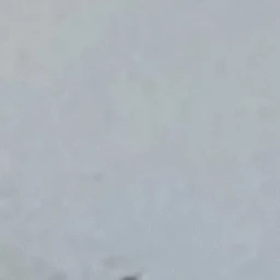 유기사
