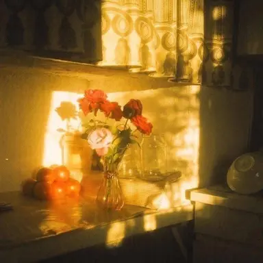 Profile image of 한지성