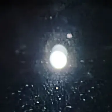 Profile image of ケンタ