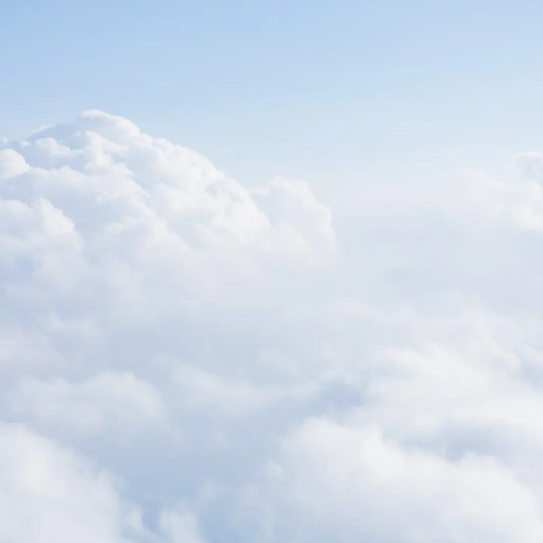 DampLand6175의 TWICEと一緒に暮らすことに？！