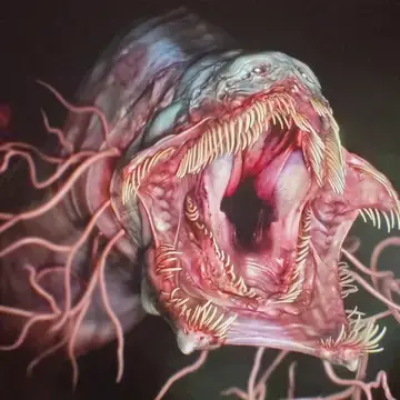 Profile image of The fish