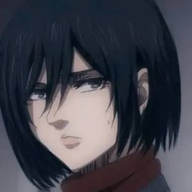 Profile image of 미카사