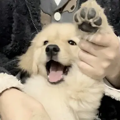 Profile image of サンヒョン