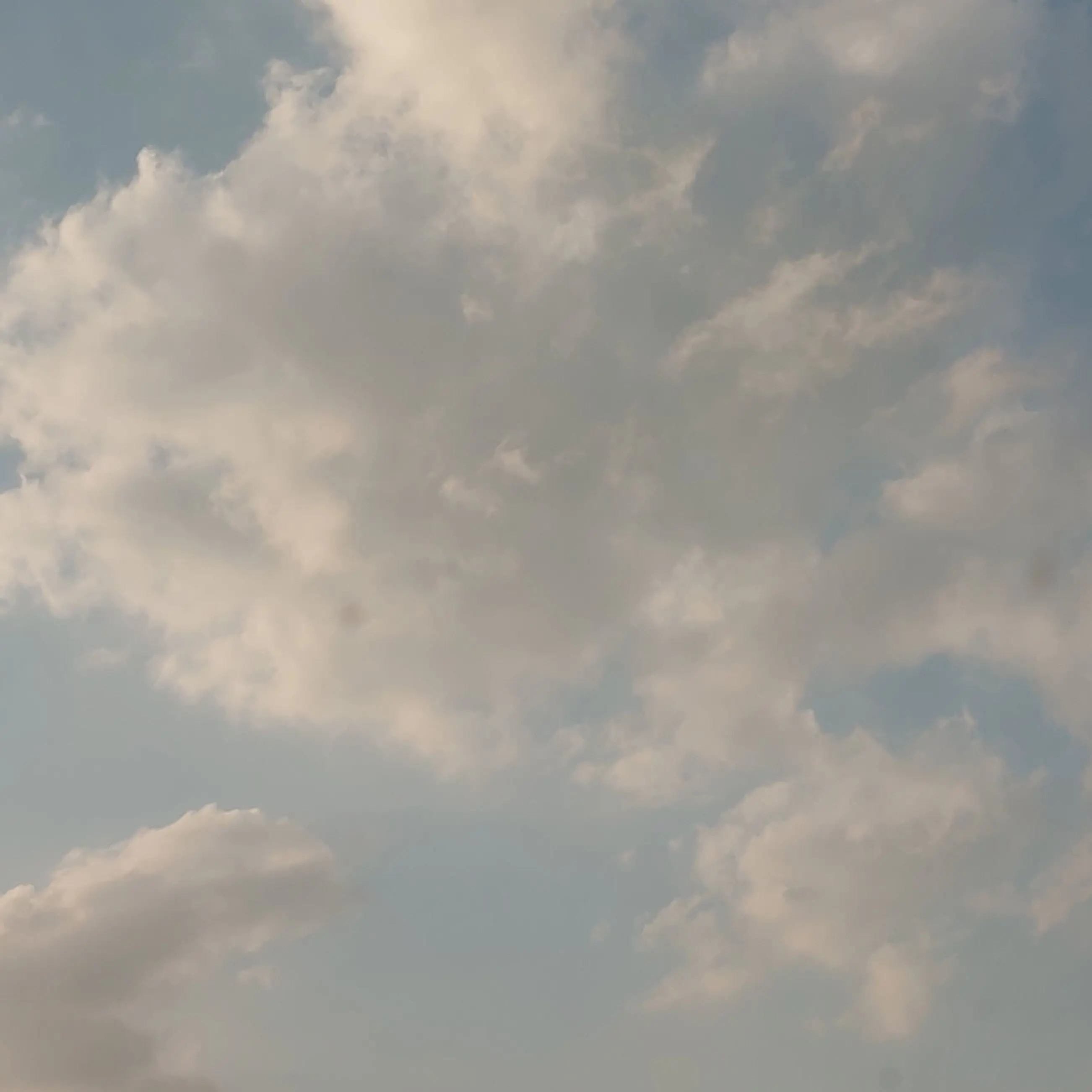 RuralLung2457의 리 레볼루션