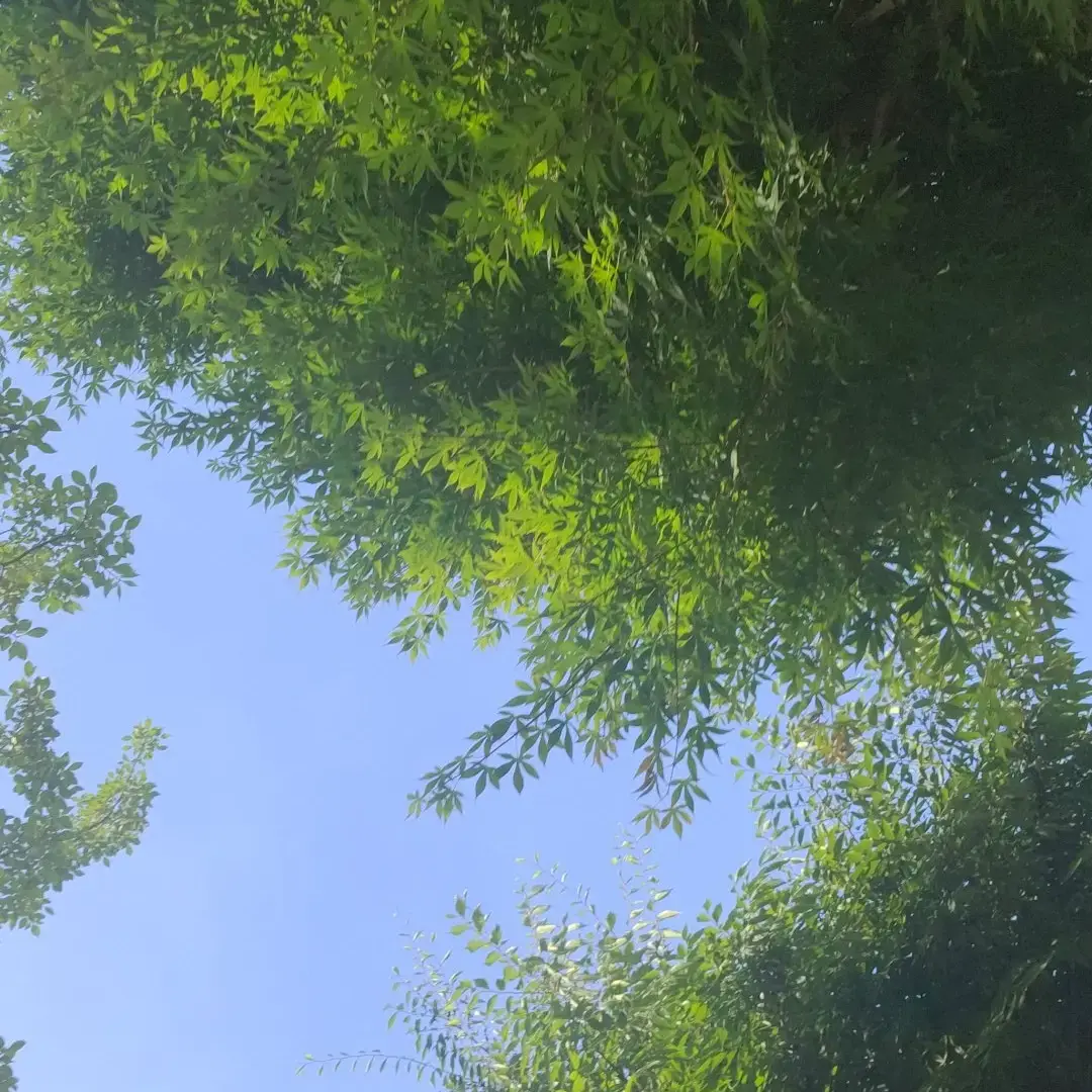 Malong90의 스물다섯, 스물하나