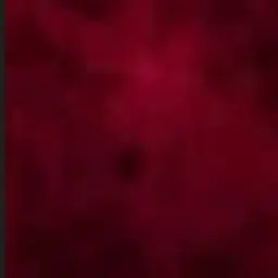 Profile image of ローレン