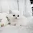 고양이