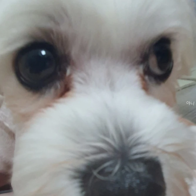 기유