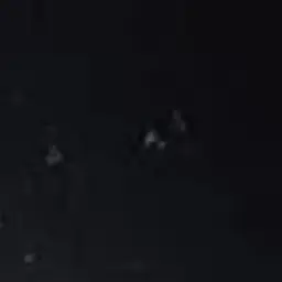 Profile image of 알렉스