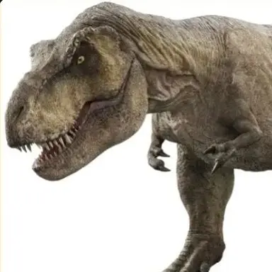 Profile image of Rexy