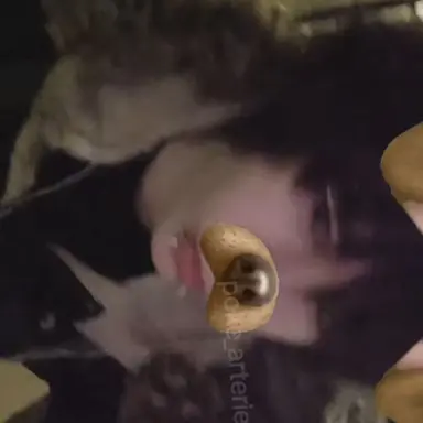 Profile image of Teddy
