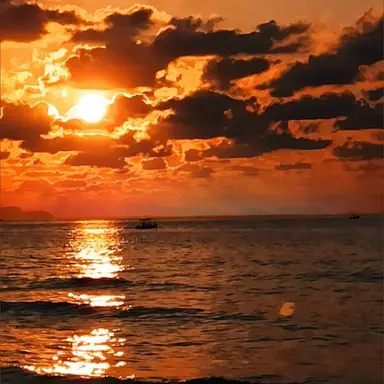Profile image of 라더