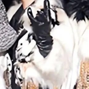 Profile image of 京本大我