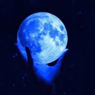 Profile image of 벨키