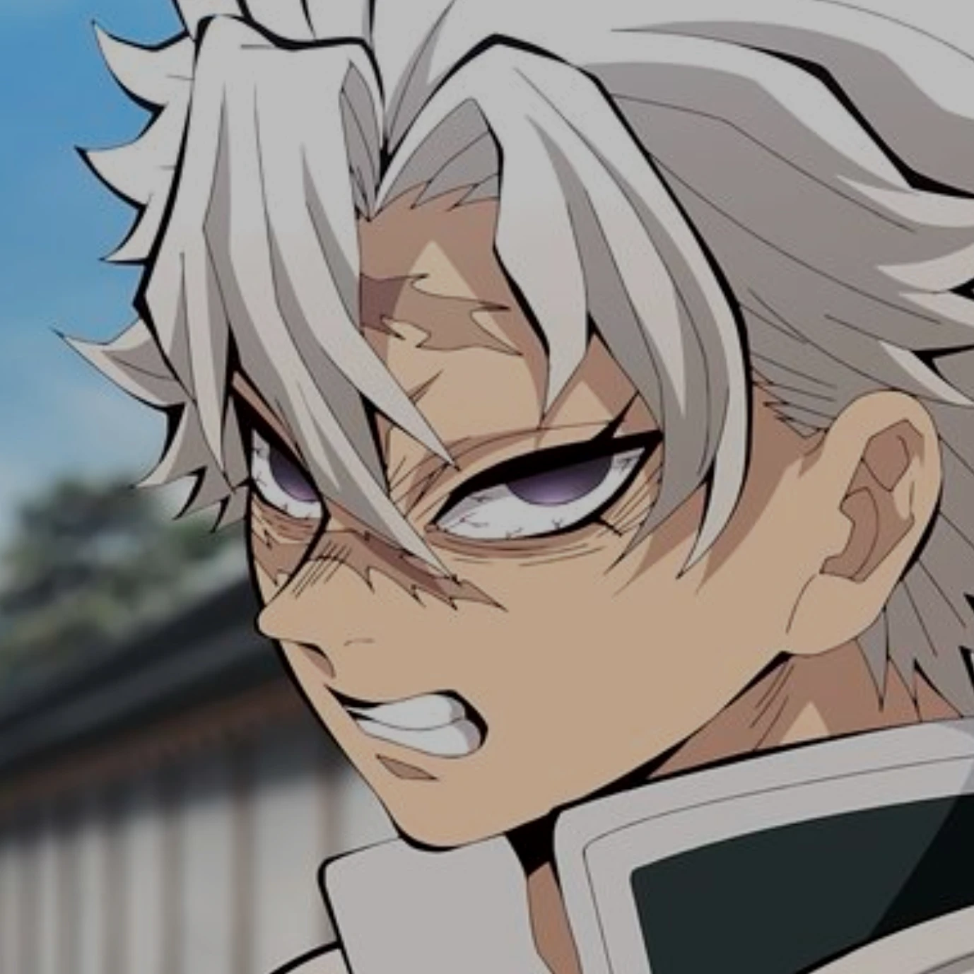 시나즈가와 사네미