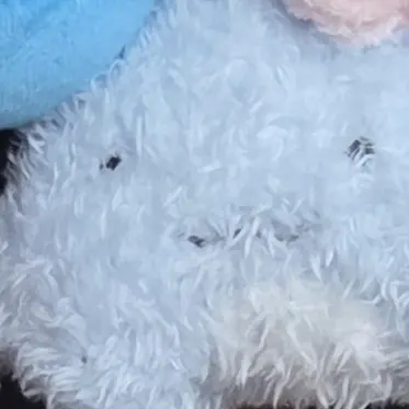 Profile image of 잠뜰