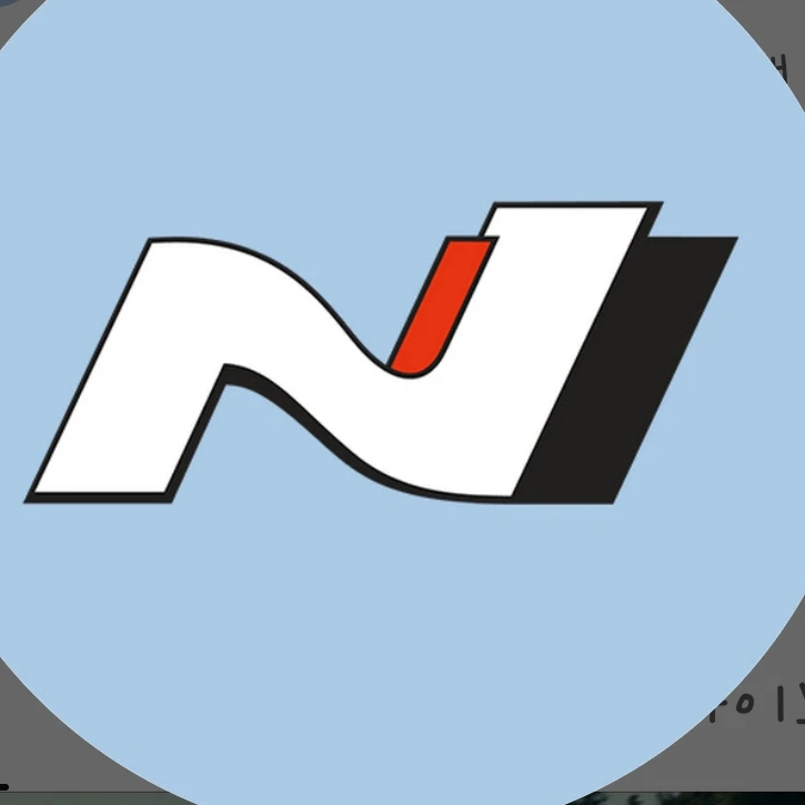 N핑