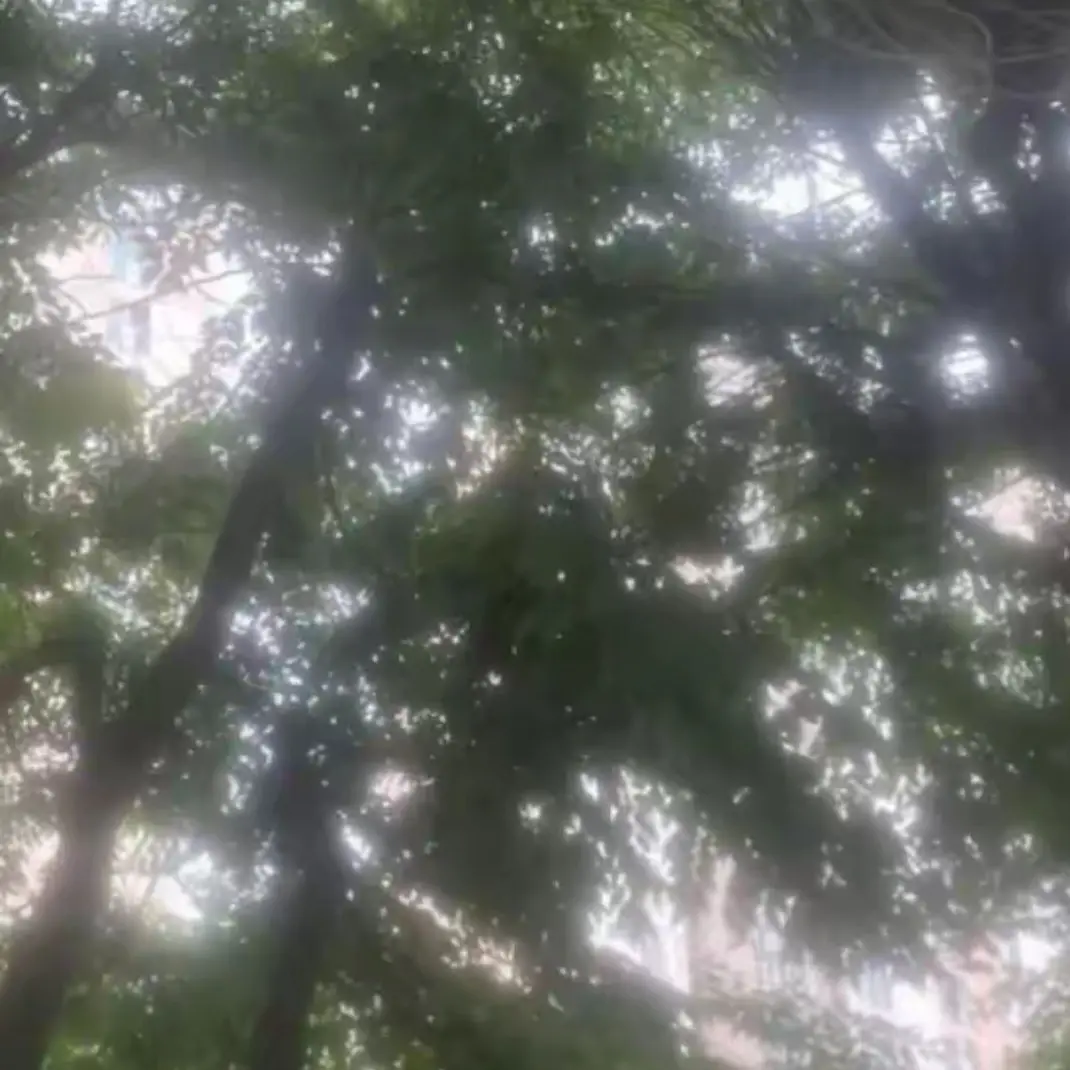 GoldenSwing0291의 김각별