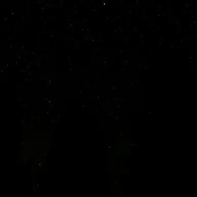 Profile image of Bsk