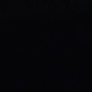 Profile image of 樹