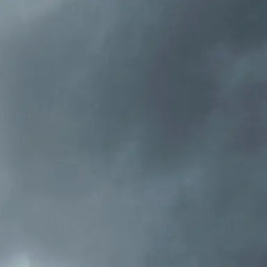 Profile image of 성의헌