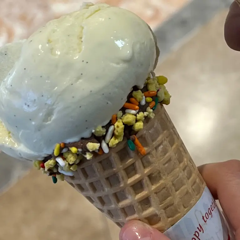 RipestLinen2593의 흐엥이랑 고민상담!!!