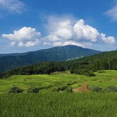 Profile image of Hyogo