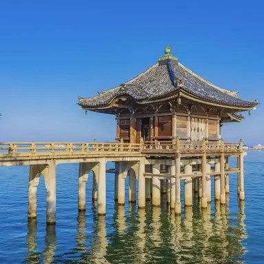 Profile image of 滋賀