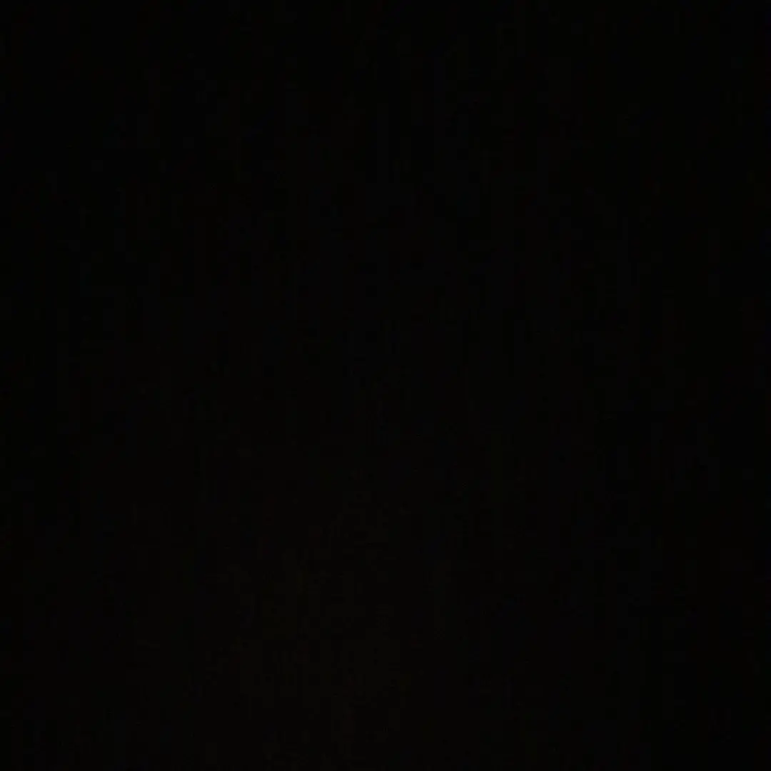 stay8.1.의 스트레이키즈