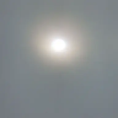 Profile image of 이용복