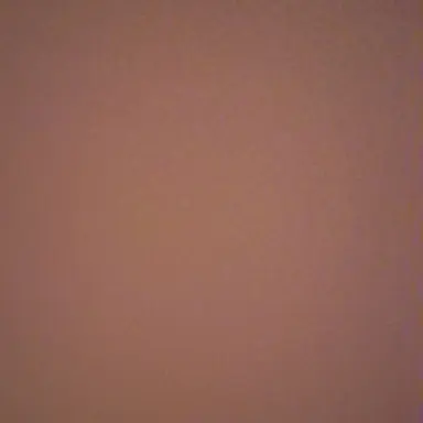 Profile image of 양정인