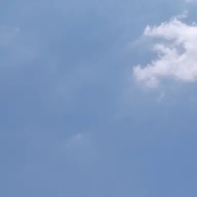 Profile image of カラピチ