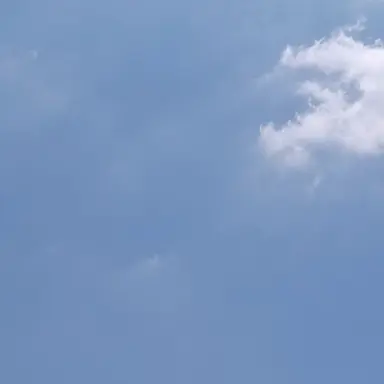 Profile image of ちろぴの