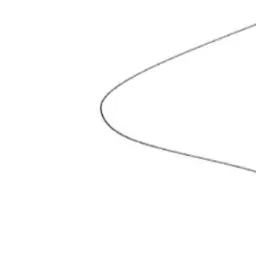 Profile image of りい
