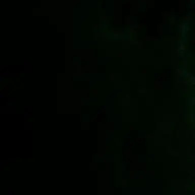 Profile image of 류민우