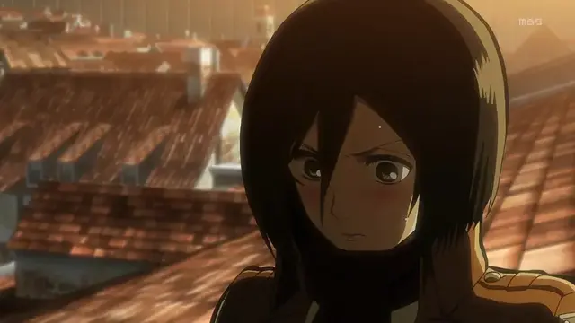 Profile image of ミカサ