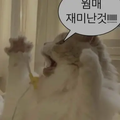 Profile image of 시청자