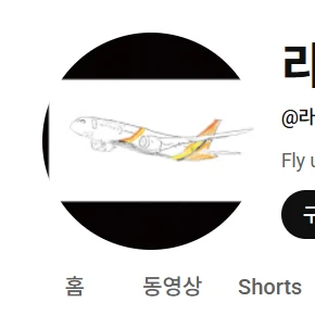라이거 항공