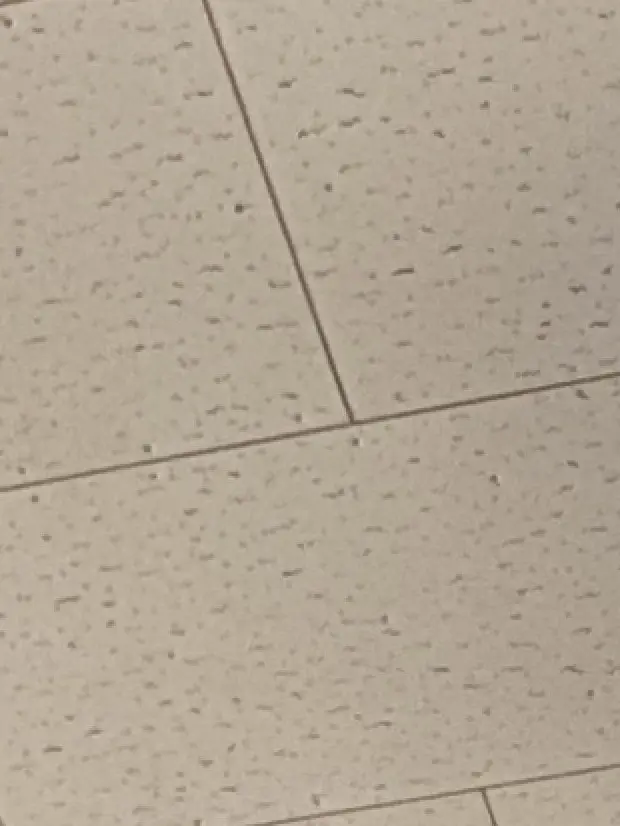 Kurosann의 亜細亜組にKiss！