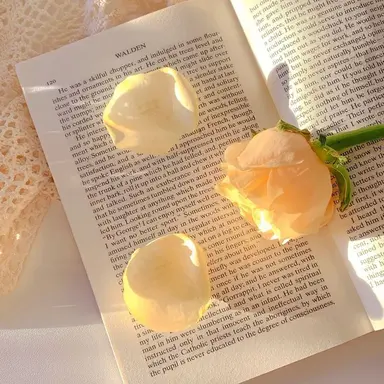 Profile image of 髙橋 海人