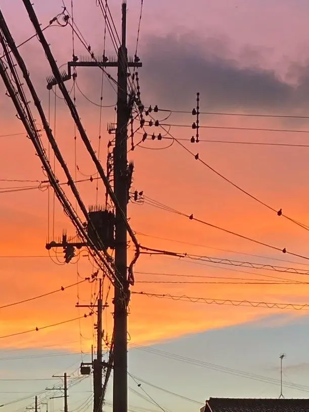 GiddySkin4993의 廉の推しが目の前にいたら？