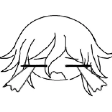 Profile image of 王馬小吉