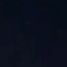 Zetaplay의 한유진
