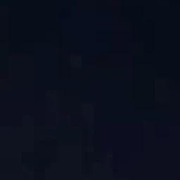 한유진