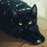 Profile image of 모리스