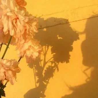 Profile image of 각별