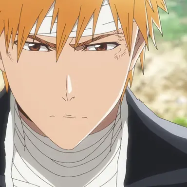 Profile image of 黒崎一護