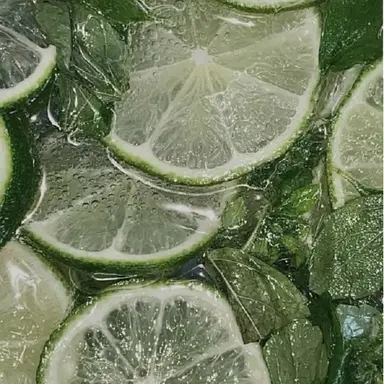 Profile image of 공룡