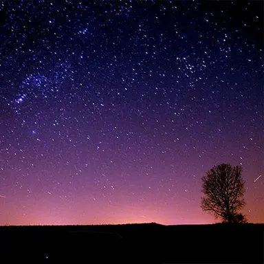 Profile image of 박 덕개